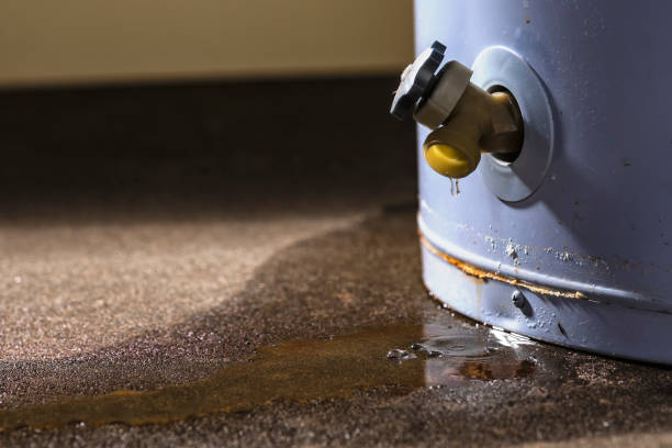 Best Local water damage restoration  in San Tan Valley, AZ