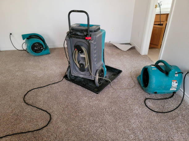 Water damage restoration experts in San Tan Valley, AZ