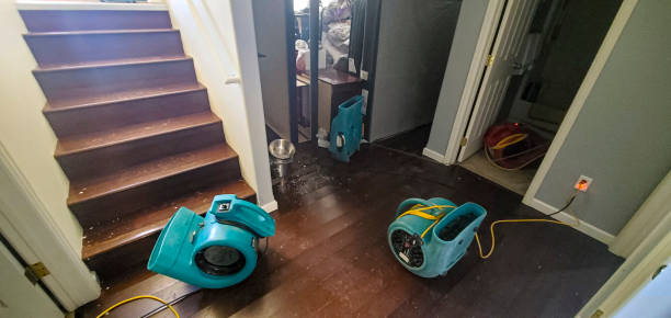 Best 24-hour water damage restoration  in San Tan Valley, AZ
