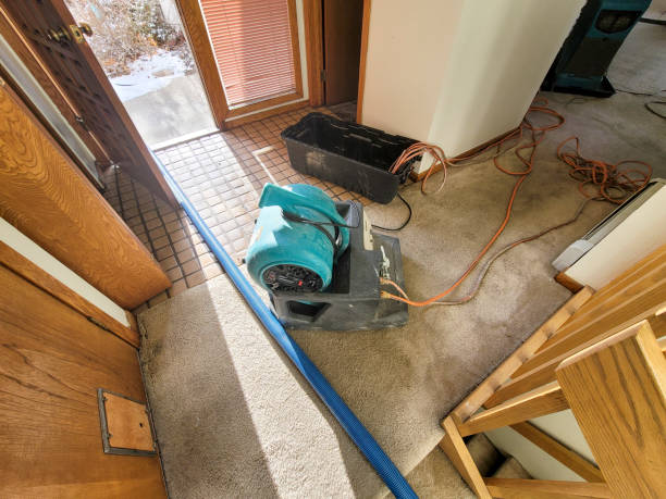 Trusted San Tan Valley, AZ Water damage restoration Experts