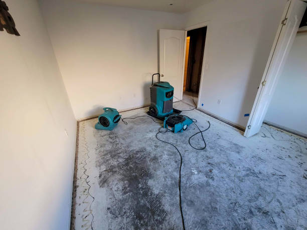 Water damage restoration mold remediation in San Tan Valley, AZ