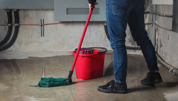 Best Flood damage cleanup  in San Tan Valley, AZ