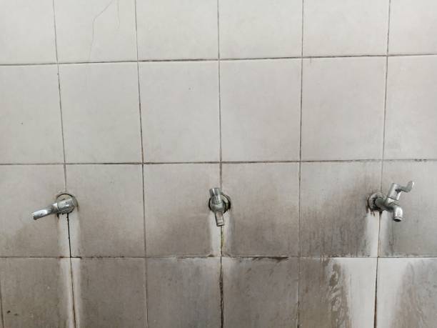 Best Sewage cleanup and water damage restoration  in San Tan Valley, AZ