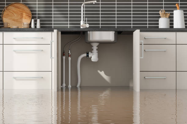 Best Professional water damage repair  in San Tan Valley, AZ